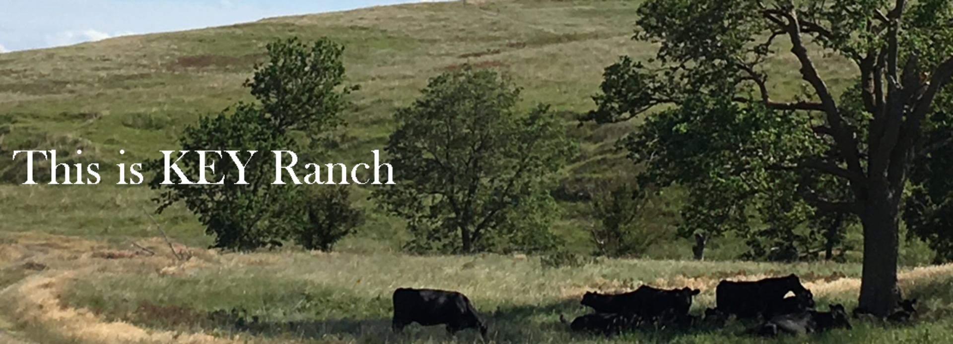 This is KEY Ranch – 